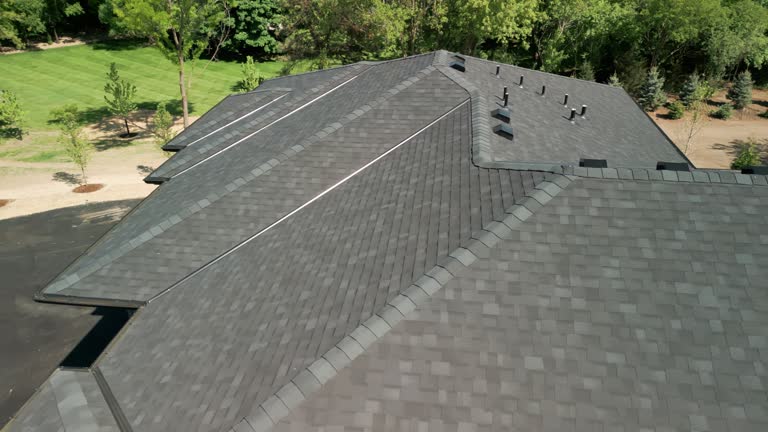 Best Solar Panel Roofing Installation  in Flora, IL