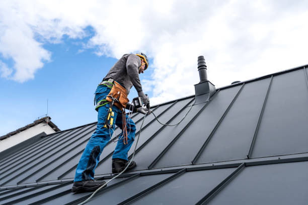 Best Roof Ventilation Installation  in Flora, IL